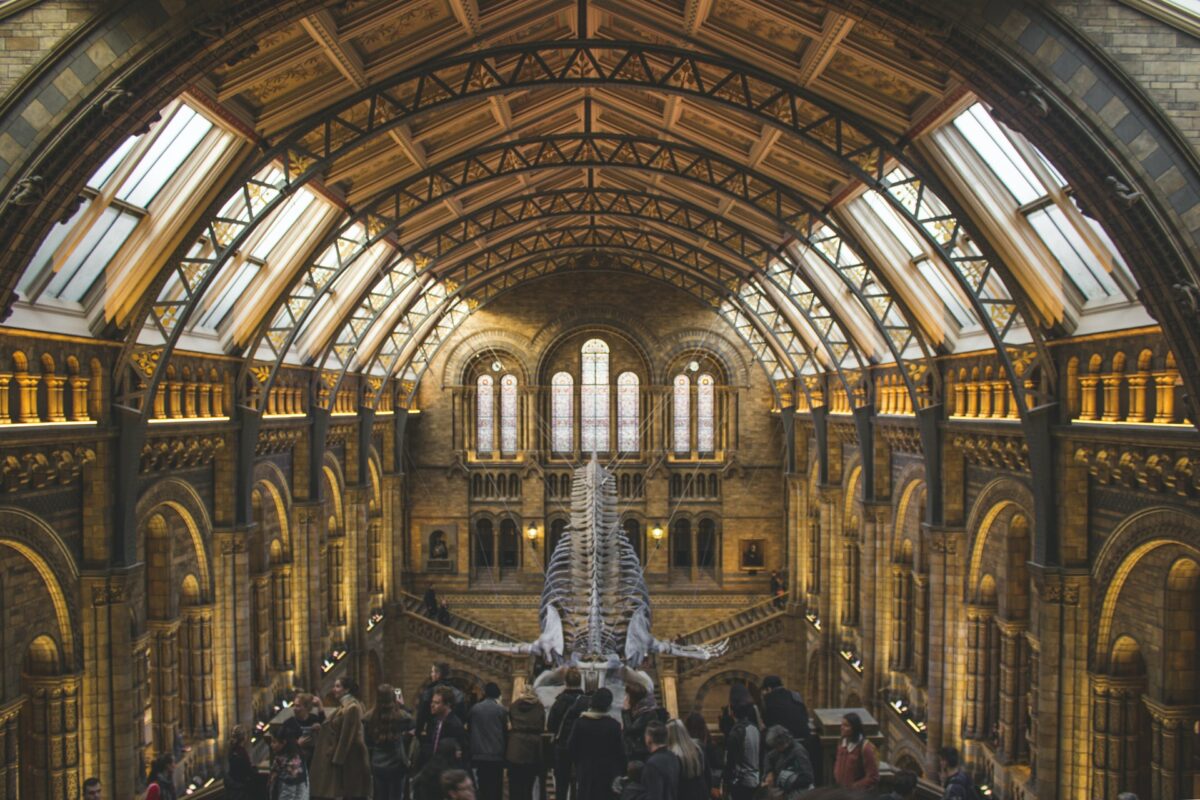 natural-history-museum-london